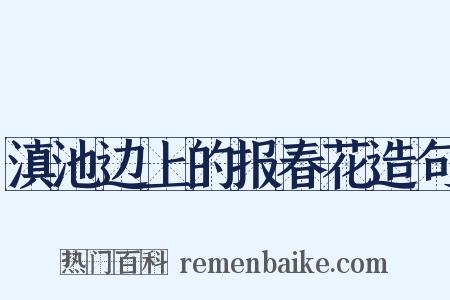 滇池边上的报春花造句是什么意思的图片